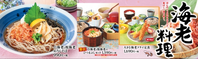 和食麺処サガミで「豪州産新そば」を販売！