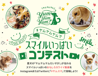 「ヤムスマ動画コンテスト」で選ばれた愛犬たちが
出演する、プロモーション動画を公開！