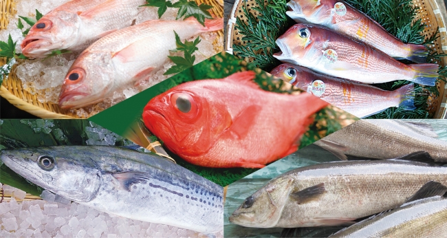 全国の漁師が自信を持って紹介する旬の魚を、ホテルシェフの技術で調理。日によって味わえる魚の種類が変わる点もお楽しみください。