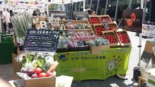 有機野菜の「ビオ・マルシェの宅配」、
「グランフロント大阪 うめきた広場」が市場になる
「Umekiki Marche – ウメキキ マルシェ – 」に出店