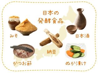レシピブログ、千葉県とのコラボレーションで
新米を使ったレシピ投稿キャンペーンをスタート