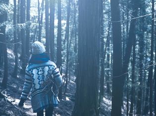 星のや富士（山梨県・富士河口湖町）
冬の森は女性を美しくする
「冬の森グランピングリトリート」プログラム開催
期間：2018年12月1日〜2019年3月15日