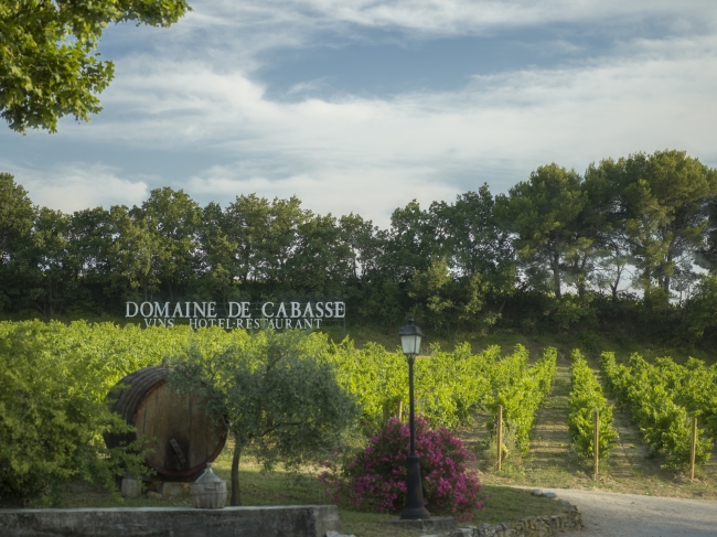 「ジゴンダス」を生産するドメーヌ・ド・カバスのワイン畑