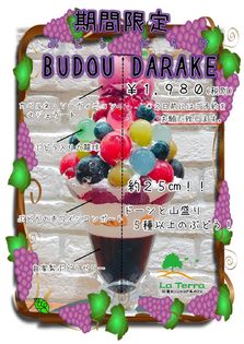 5種の葡萄とカラフル九龍球の“高さ25cm超”贅沢パフェ！
要予約の特盛パフェ第三弾『BUDOU DARAKE』新発売
