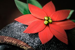 深紅のポインセチアやトナカイをイメージした
バラエティ豊かなラインナップ！！
カファレルクリスマスケーキコレクション2018