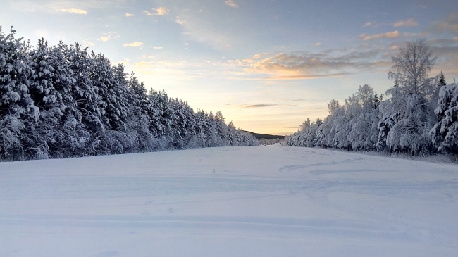 スウェーデンの雪景色