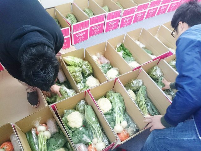 こゆ財団では季節ごとの新鮮な野菜や果物を集荷してセットを組み、全国の寄附者様に定期便としてお届けしています。