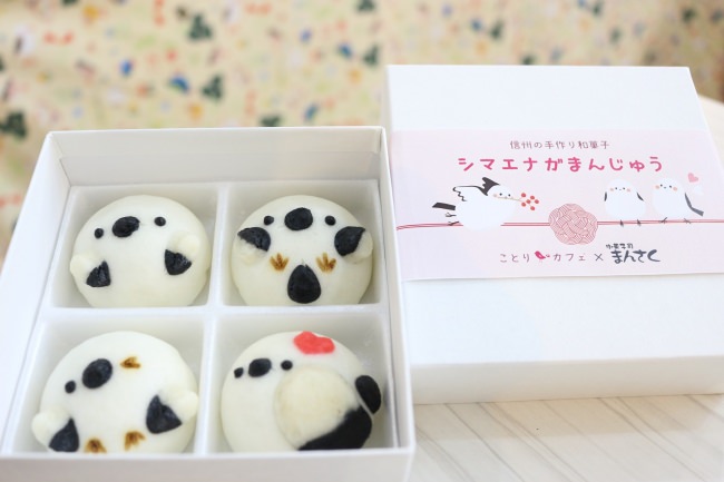 マツモトキヨシグループの店舗スタッフによる商品開発応援プロジェクトから生まれた新商品　matsukiyo LAB　「チョコレート風キャロブミルク」が新発売