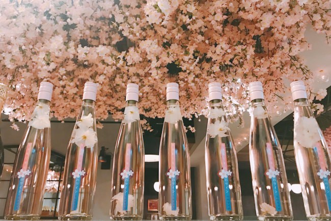店内の桜を背景に 数量限定の「桜のワイン」
