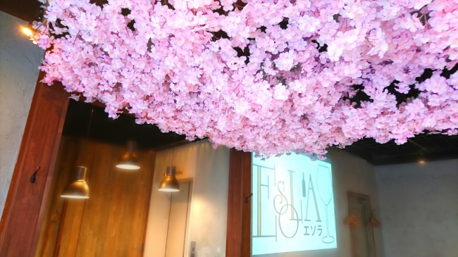 お花見ワインバルESOLA(エソラ)上野駅前店
