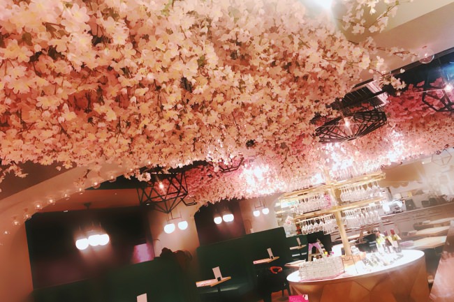 お花見ワインバルESOLA(エソラ)新宿駅前店