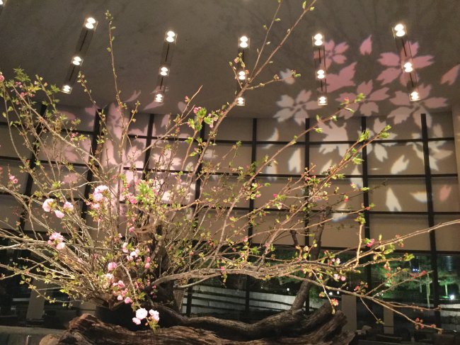 ロビー桜装飾(2018年）