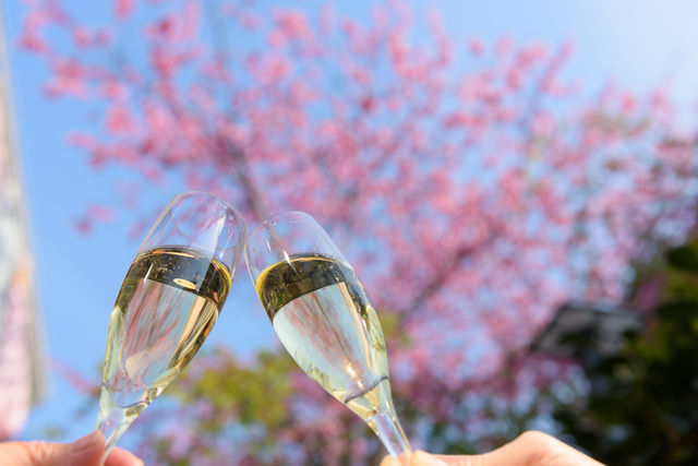 今年もやってきた！財布にも春が来る！  寿司食べ放題で人気の『きづなすし』で 『桜割り』スタート！
