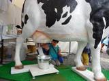 模型の牛での搾乳体験の様子