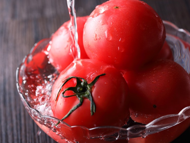 料理写真撮影イメージ「フレッシュトマト」