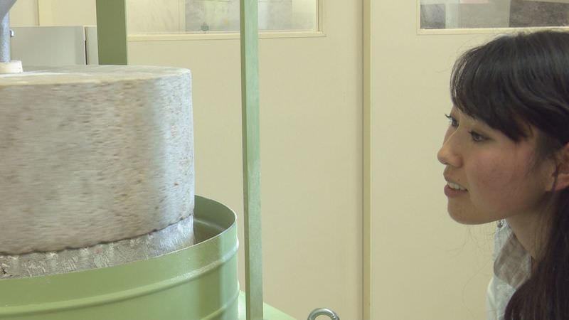 石うすでゆっくりと挽かれるそば粉