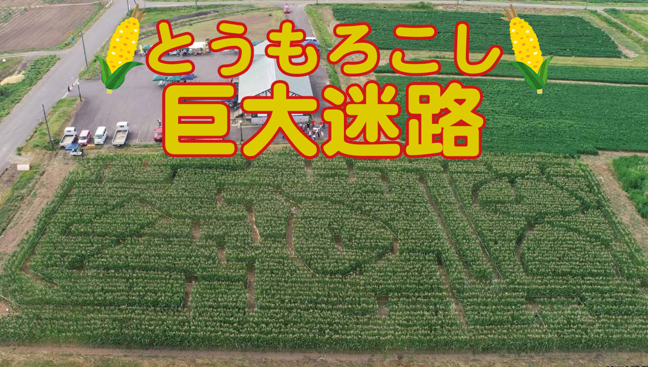 「第一パン」×「ゴーゴーカレー」コラボパン7月1日から期間限定発売！！