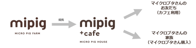 mipigとmipig cafeのつながり