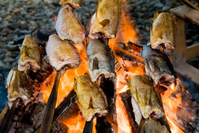 わっぱ煮に使うお魚は、粟島の新鮮なお魚。海辺で焼いて海辺で食べます。