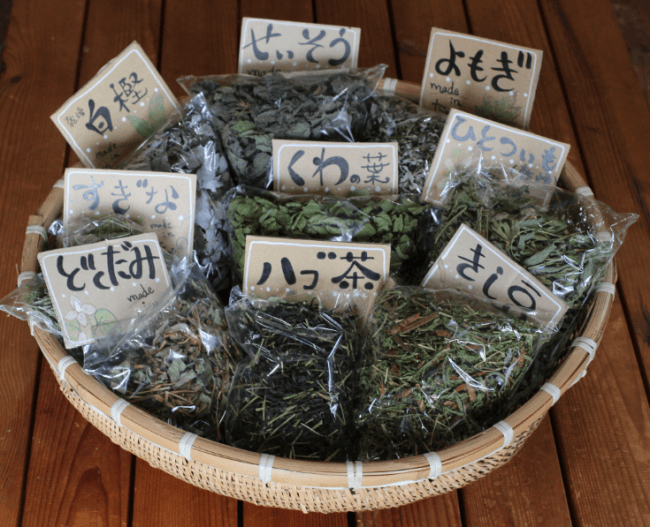 津野町で採れる様々な野草茶。