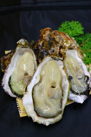 広島県江田島産最高級生牡蠣