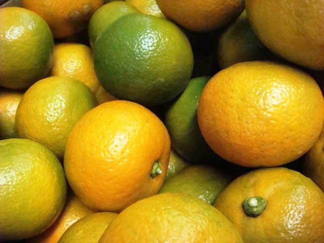 橙オレンジは生食には向かないビターオレンジ。火を入れると香りも風味も一気に華やかになるオレンジで、マーマレードに使われています