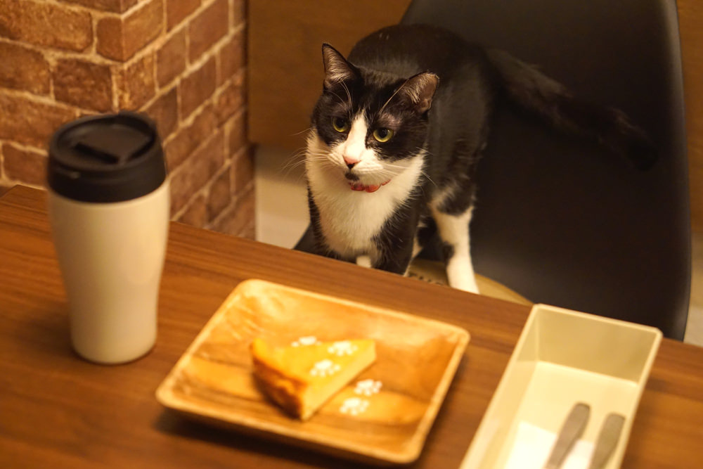 コーヒーやカクテルだけじゃない！バーテンダーがつくるクリームソーダ はじめました！＠武相庵 Cafe & Hostel町田