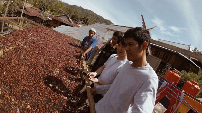 エンレカン県のカカオ農園で発酵後のカカオを乾燥させる様子