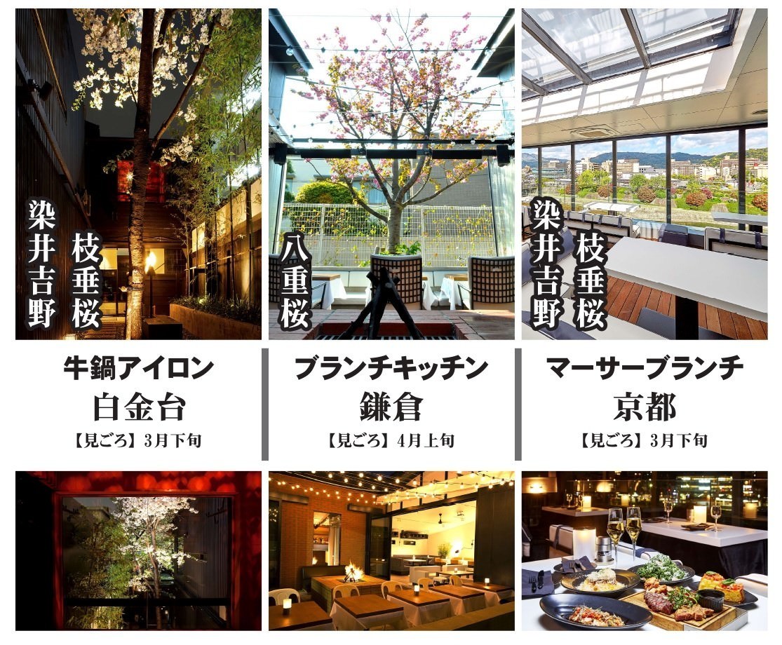 寿司・燻製・炭焼を一度に楽しめる居酒屋「カドハチ　燻」4月1日オープン／渋谷