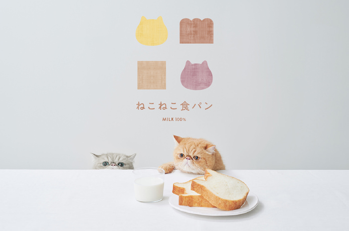 ねこの形の高級食パン専門店「ねこねこ食パン」が大阪・あべのキューズモールに新規オープン！