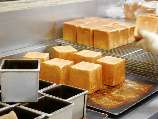 世界のパンを提供する「デルソーレ」がトルティーヤで日本の諸問題を解決!?TDGs（TORTILLA DEVELOPMENT GOALS）プロジェクト始動！
