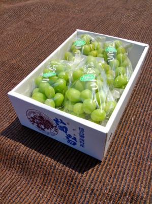 “地元市民”が栽培！江田島産オリーブオイルが最も権威のある国際オリーブオイルコンテストで金賞獲得！