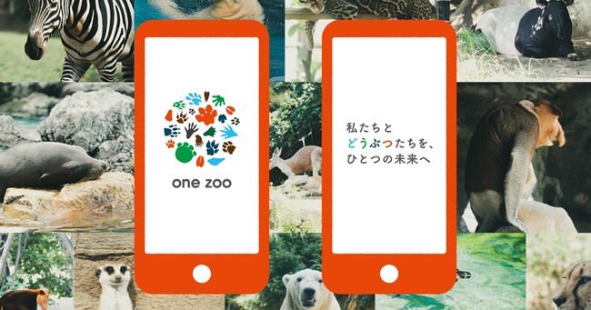 「one zoo」アプリ イメージ写真
