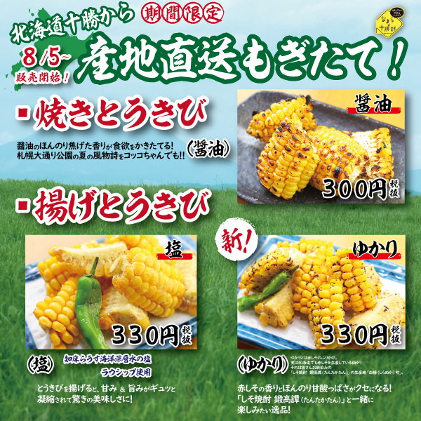 【オーガニック和紅茶 新発売】日本茶屋ハトハが「PURE BLACK TEA/TEA BAG（有機和紅茶ティーバッグ）」を8月8日より発売。