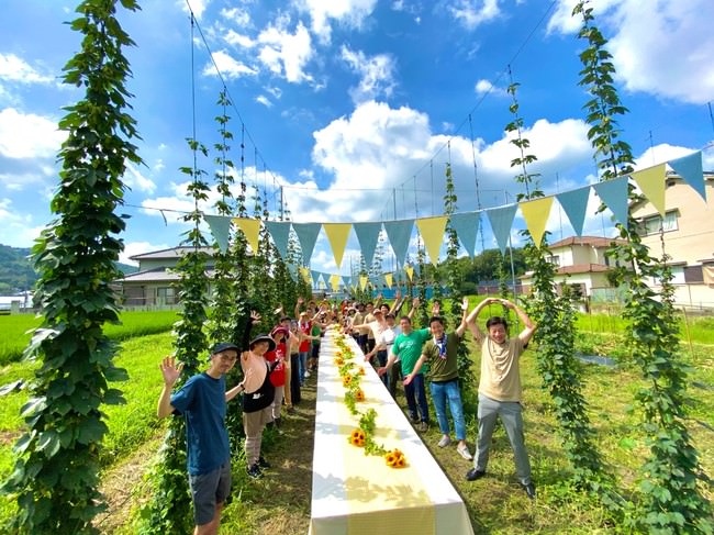 ホップ収穫祭の様子（20年8月、奈良県平群町）。真空状態で冷凍保存し、Nakatsu brewery にてフレッシュホップビールを醸造予定。