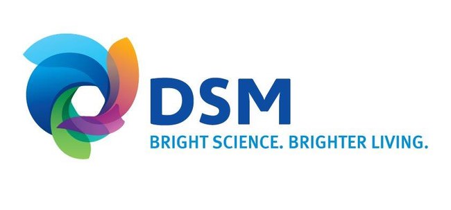 DSM、植物由来代替肉の開発に貢献する包括的なソリューションを提供