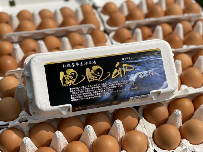 相模原で愛される養鶏場を応援 “たまご街道”で人気の「鳳凰卵」を限定店舗で特別販売