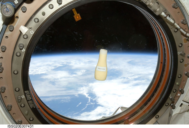 2009年、若田光一宇宙飛行士が 国際宇宙ステーションにて撮影 (C)JAXA／NASA