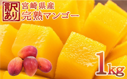 シリーズ第一回目は「ホップ収穫祭 with YOKOHAMA BEER」 PANWOKでは土日限定イベントー Weekend Seriesが9月26日（土）から始まります。