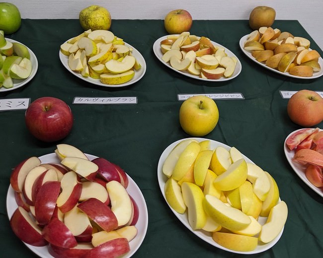 山口果物 フルーツセミナー＆多品種食べ比べ （過去開催時のイメージ）