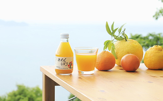 和歌山のゆたかな自然が生み出した、素材そのまんまの味わいのジュースです。