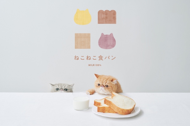 ねこの形の高級食パン専門店「ねこねこ食パン」が愛知県に登場！