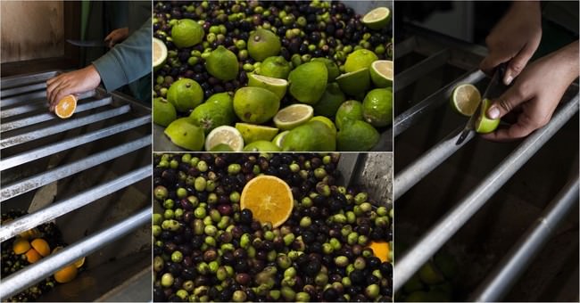 フレーバーエキストラバージンオリーブオイルシリーズ：後からフレーバーを添加するのではなく、果実や植物をオリーブの実と一緒に圧搾することで抽出したフレッシュな芳香が、オリーブ本来の奥深い香りに自然な風味として馴染み、お料理の味を引き立てます。