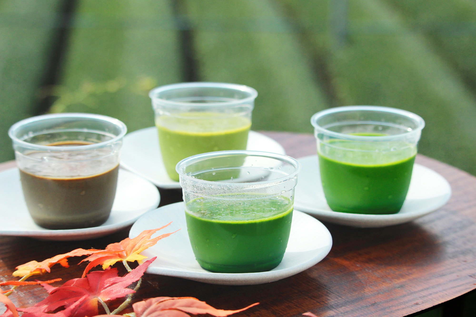 河童ラーメン本舗、外食事業を活性化させる一環として
「3名様以上のご来店で河童ラーメン1杯無料キャンペーン」開催