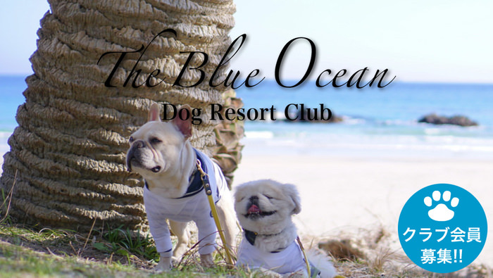 「アイドルマスター シャイニーカラーズ」×「menu」豪華声優陣サイングッズ77点が当たる!10/31(土)よりコラボキャンペーンスタート