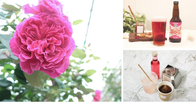 すばやくスッキリ!8 種のハーブとカリン果汁配合の 『40g のどにやさしいハーブマシュマロ』を新発売 !