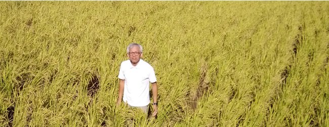 創業47年!徳島の老舗豆腐メーカー『さとの雪』 さとの雪詰め合わせセットがあたる!おからパウダー売上No.1記念キャンペーン