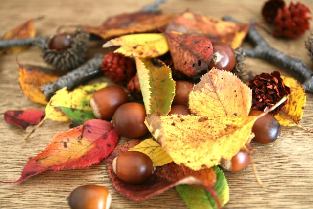 身近なもので楽しめる！