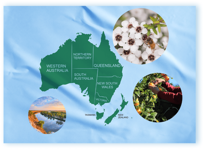 福島県 × BEAMS タイアップ発信プロジェクト「ふくしまものまっぷ」第23弾