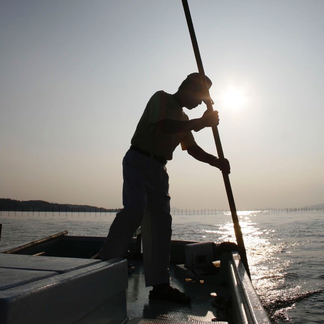 365日宍道湖と向き合う漁師さん